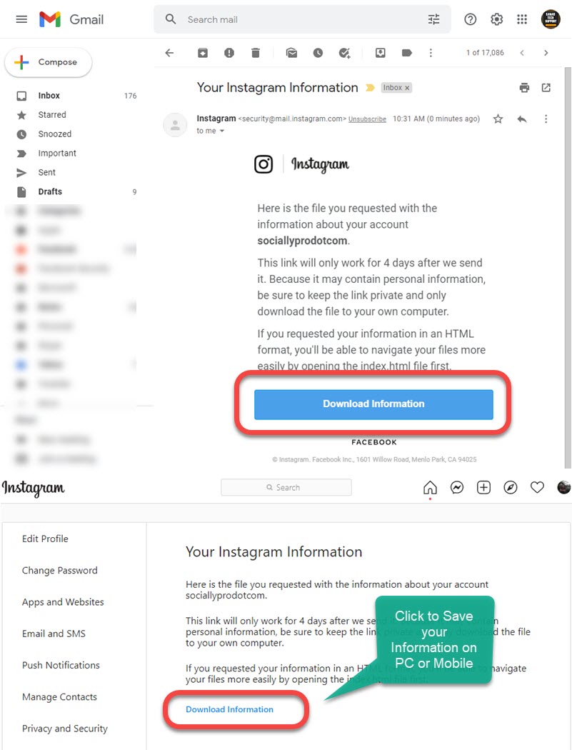Your Instagram Information Email with Download Link