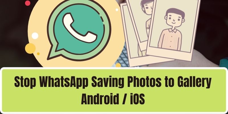Stop WhatsApp Saving Photos to Gallery Android iOS